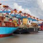UN predicts global economic growth to remain at 2.8% in 2025