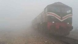 Cold weather and fog cause major disruptions to train services