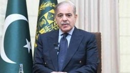 PM Shehbaz Sharif expresses hope for 2025 to bring progress for Pakistan