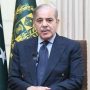 PM Shehbaz Sharif expresses hope for 2025 to bring progress for Pakistan