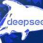 DeepSeek faces restricted by ‘hundreds’ of companies over data risks