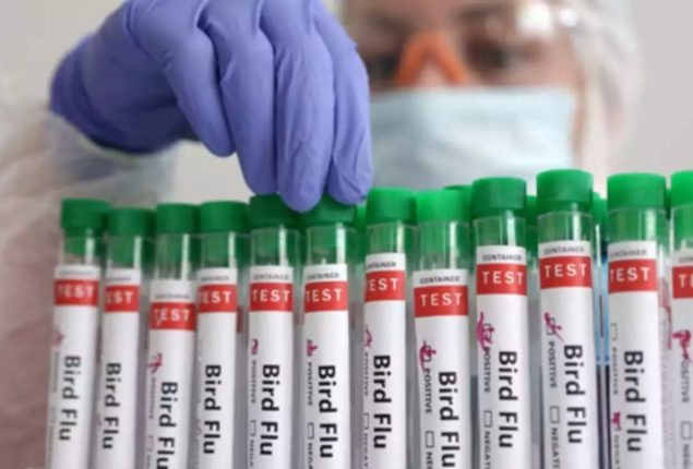 Zoetis’ bird flu vaccine gets conditional approval in US