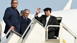 President Zardari