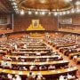National Assembly passed resolution in solidarity with Palestine