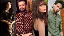 10 Pakistani Celebrities who never face online criticism