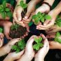 Ministry of Climate Change, PEMRA sign MoU to promote environmental awareness