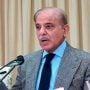 PM Shehbaz calls for removal of social barriers of inequality