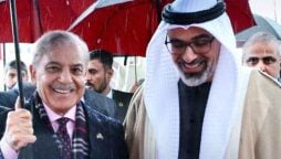 Abu Dhabi crown prince receives warm welcome in Islamabad