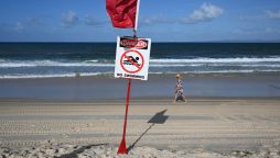 Teenage girl killed in shark attack off Australia's east coast