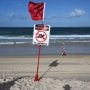 Teenage girl killed in shark attack off Australia’s east coast