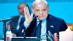 PM Shehbaz Sharif stresses strengthening climate financing at WGS