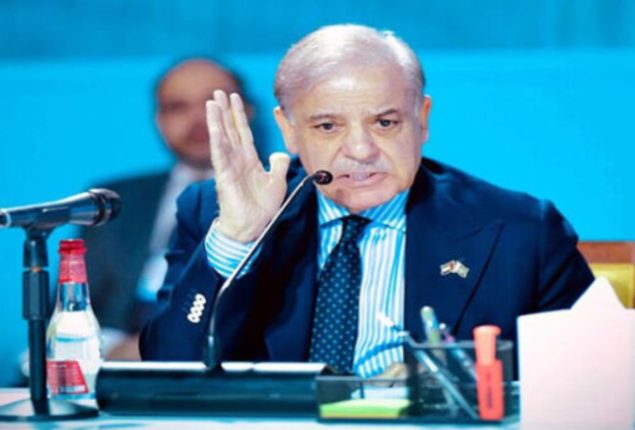 PM Shehbaz Sharif stresses strengthening climate financing at WGS
