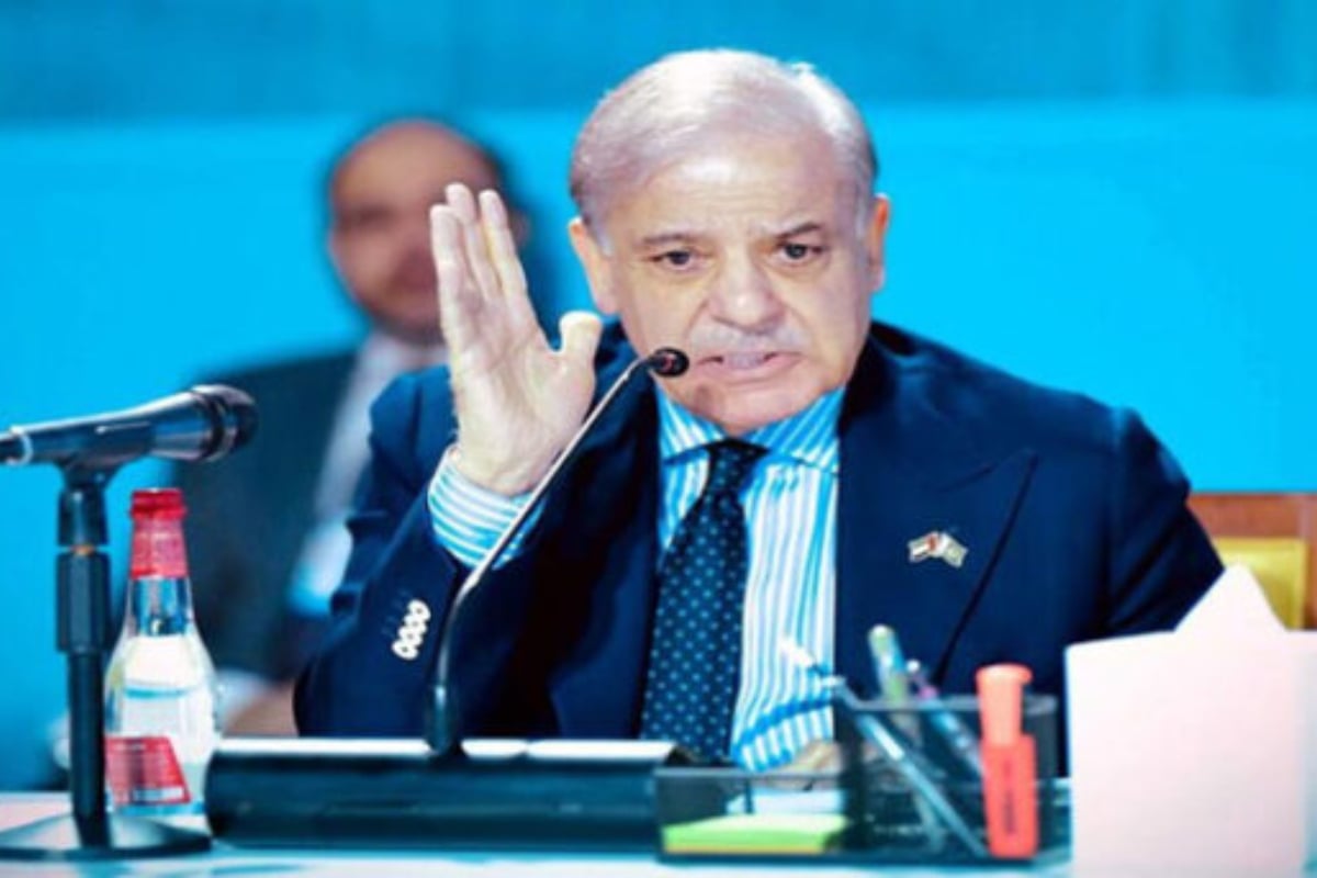 PM Shehbaz urges strengthening climate financing in his address to WGS