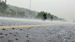 Weather update: Rain, hailstorms, thunderstorms predicted till May 5
