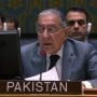 Pakistan calls for decisive steps to resolve Yemen crises