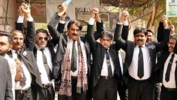 lawyers