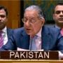 Pakistan urges UNSC members to initiate steps to end Israel’s war in Gaza  