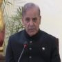 PM Shehbaz Sharif vows further relief in electricity prices