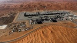 Saudi Arabia discovers 14 new oil and gas fields