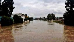 Jhelum river faces moderate flood after India releases water