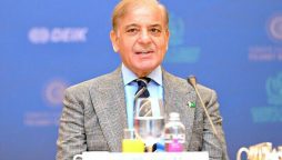 PM Shehbaz opens doors to investment in Pakistan’s trillion-dollar natural resources