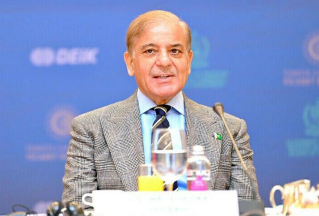 PM Shehbaz opens doors to investment in Pakistan’s trillion-dollar natural resources