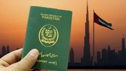 UAE multiple-entry visit visa from Pakistan in 2025 – Fees and requirements