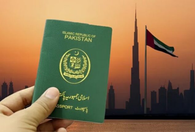 UAE multiple-entry visit visa from Pakistan in 2025 – Fees and requirements