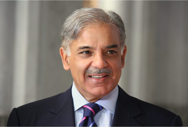 PM Shehbaz constitutes committee to improve governance