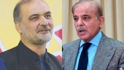 PM, JI Ameer discuss public relief in electricity prices, Palestine
