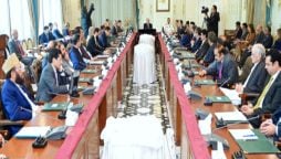 Govt to digitize national economy: PM Shehbaz