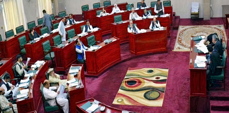 Gilgit-Baltistan Assembly Session Descends into Physical Altercation