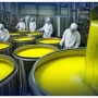 Balochistan Olive Oil wins global award in US competition