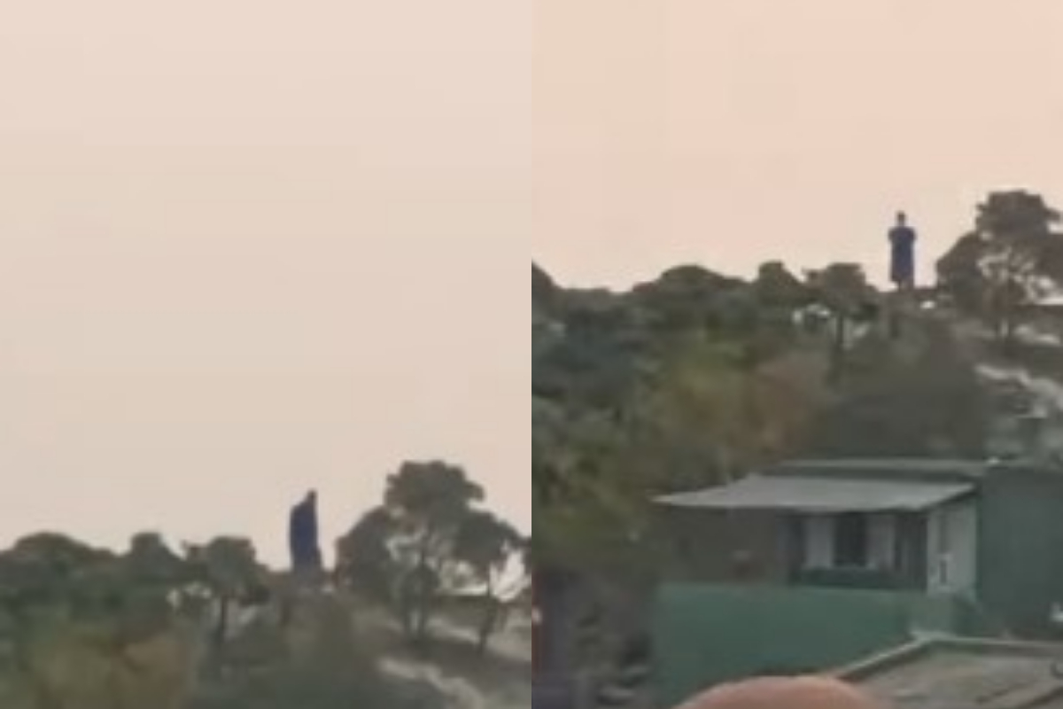 A Giant spotted in Brazil? Locals shocked as viral video raises more questions than answers