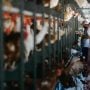 Top chicken exporter faces trade ban after Bird Flu found in poultry