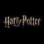 Harry Potter TV series shatters production budget records