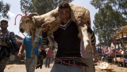 Moroccans to observe Eid-ul-Azha without animal sacrifice amid economic crisis