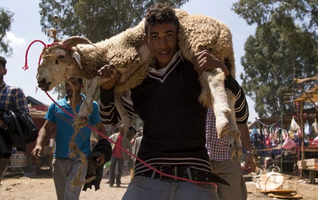 Moroccans to observe Eid-ul-Azha without animal sacrifice amid economic crisis