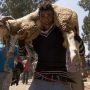 Moroccans to observe Eid-ul-Azha without animal sacrifice amid economic crisis