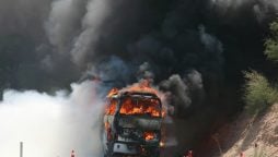 Tragic bus