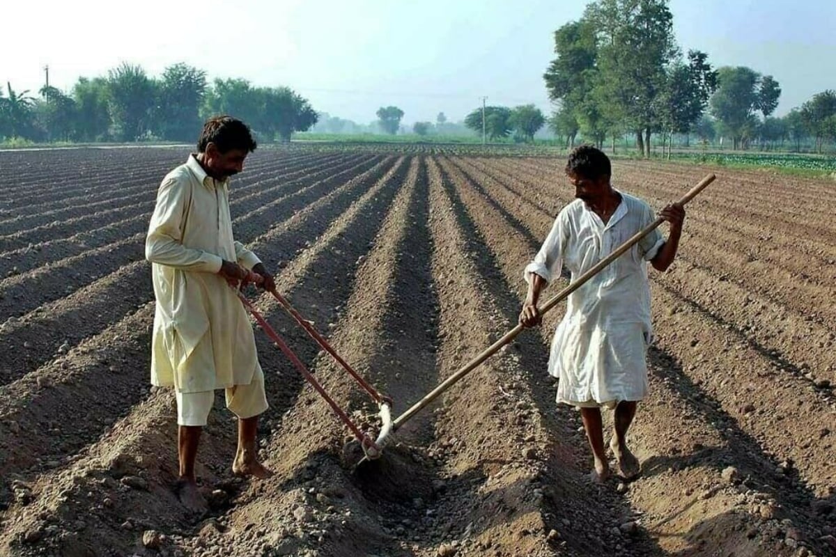 Federal Government introduces digital loan scheme for Pakistani farmers