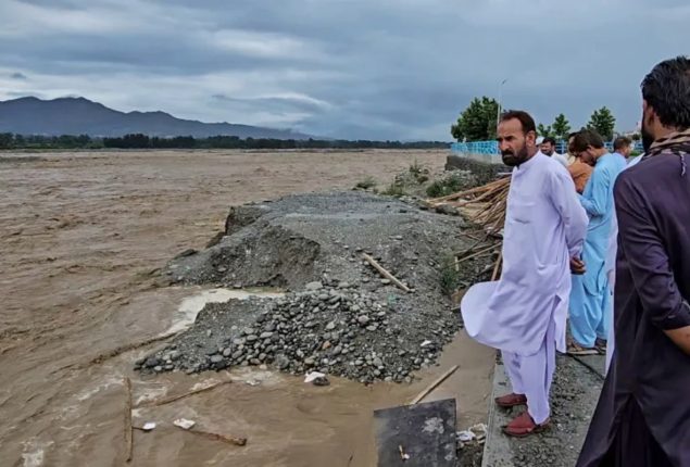 PDMA releases initial report on monsoon losses in KP