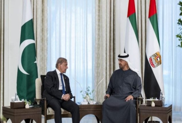 PM Shehbaz, UAE President discuss to strengthen bilateral relations