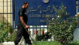 ECP