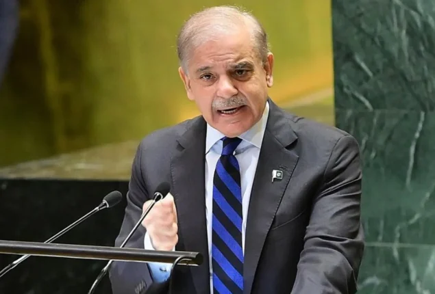 Govt TV fees abolishes from electricity bill, PM Shehbaz Sharif