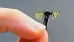 Smaller than ever, China introduces 0.6 cm stealth drone