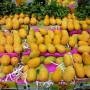 5,550 KG Mangoes Missing from Multan