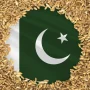 From earth to orbit, Pakistani wheat seeds heads to space