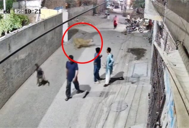 Lion attacks woman and two childrens in Johar Town, Lahore