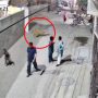 Lion attacks woman and two childrens in Johar Town, Lahore